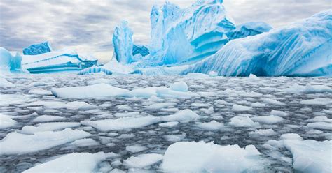 Melting Ice and its Impact on the Global Food Chain